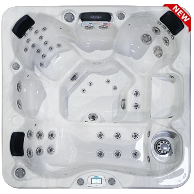 Avalon-X EC-849LX hot tubs for sale in Moncton